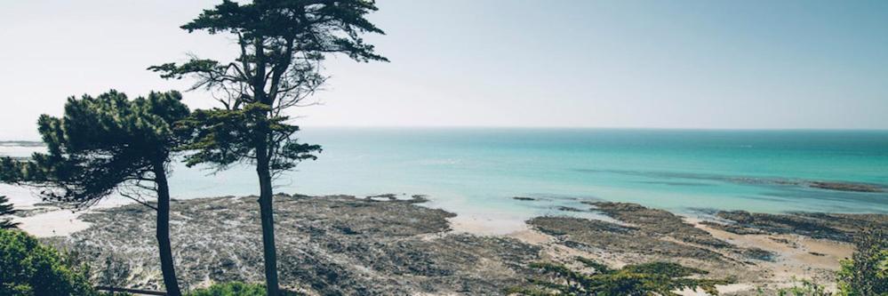 Les Iles Vue Sur Mer Agon-Coutainville Εξωτερικό φωτογραφία